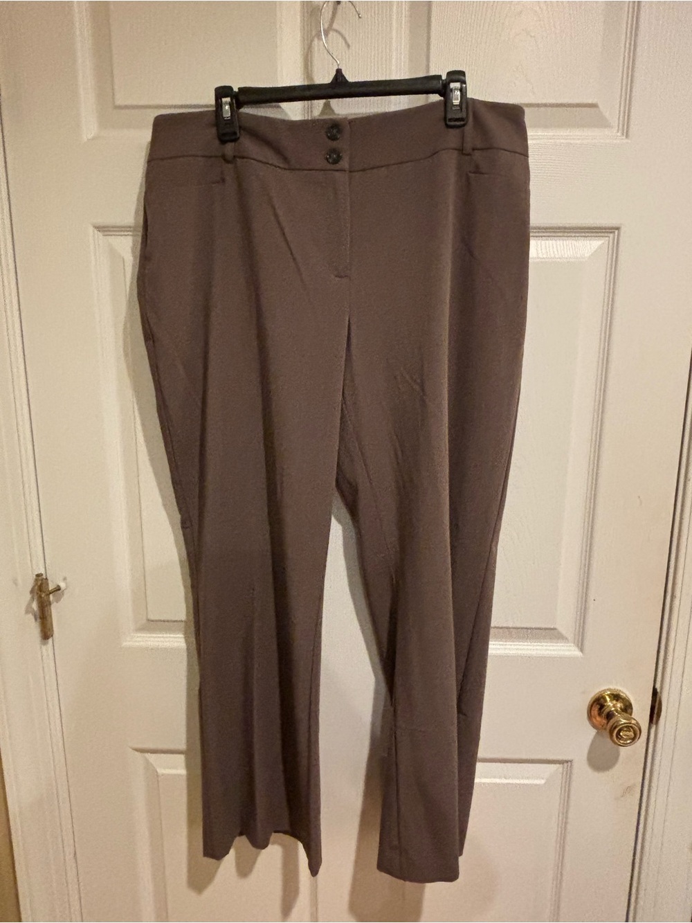 Alfani Women's Dress Pants 16S - Taupe / Mushroom Brown - Straight Leg Work Trou